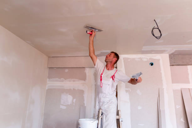 Best Drywall Repair  in Pemberville, OH